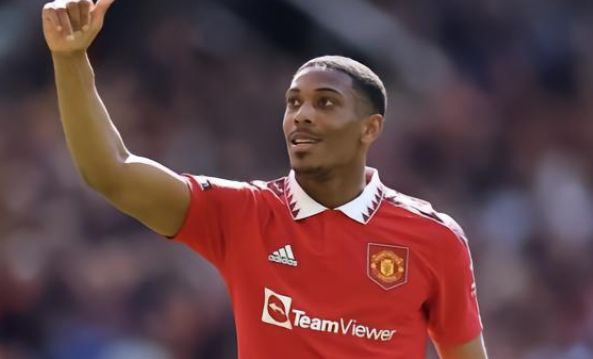 还引入了 还引入了