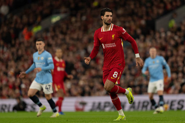 成膝蓋和腳 成膝蓋和腳